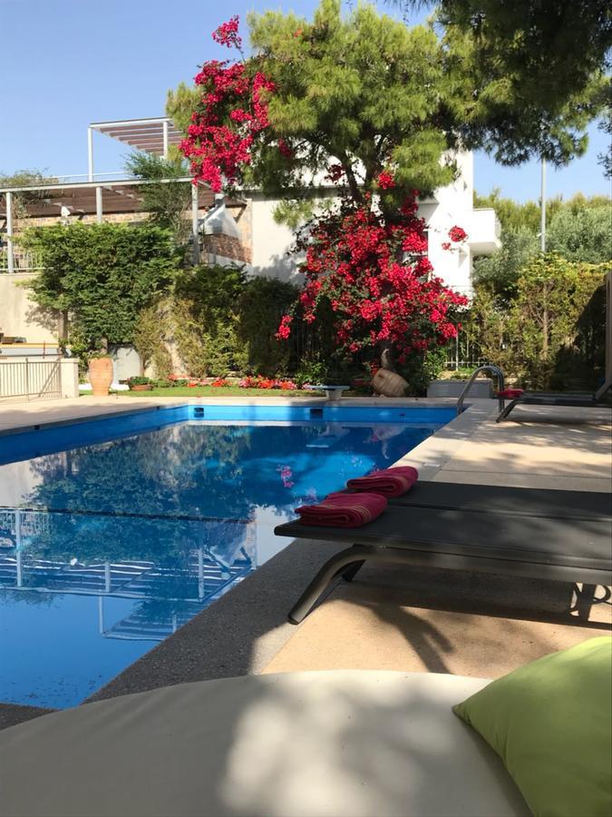 Villa Serenity Pórto Ráfti Kültér fotó